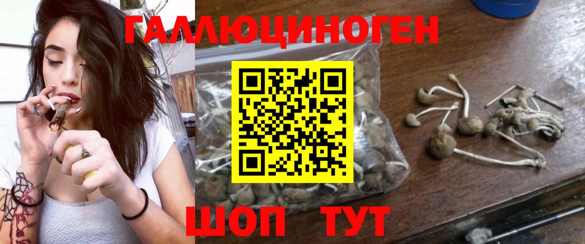 Псилоцибиновые грибы GOLDEN TEACHER  Псилоцибиновые грибы Magic Shrooms  Дагестанские Огни  Вход с VPN 